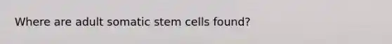 Where are adult somatic stem cells found?