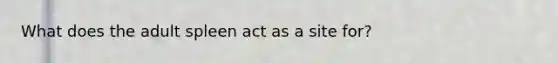 What does the adult spleen act as a site for?