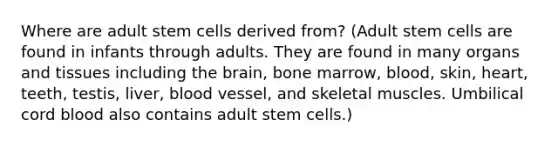 Where are adult stem cells derived from? (Adult stem cells are found in infants through adults. They are found in many organs and tissues including the brain, bone marrow, blood, skin, heart, teeth, testis, liver, blood vessel, and skeletal muscles. Umbilical cord blood also contains adult stem cells.)