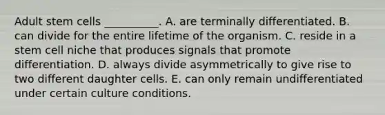 Adult stem cells __________. A. are terminally differentiated. B. can divide for the entire lifetime of the organism. C. reside in a stem cell niche that produces signals that promote differentiation. D. always divide asymmetrically to give rise to two different daughter cells. E. can only remain undifferentiated under certain culture conditions.