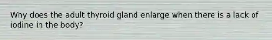 Why does the adult thyroid gland enlarge when there is a lack of iodine in the body?