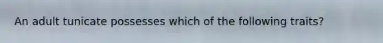 An adult tunicate possesses which of the following traits?