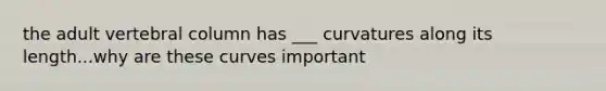 the adult vertebral column has ___ curvatures along its length...why are these curves important