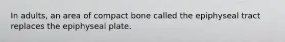 In adults, an area of compact bone called the epiphyseal tract replaces the epiphyseal plate.