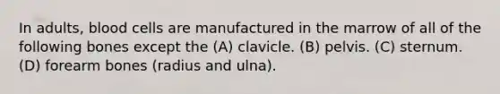 In adults, blood cells are manufactured in the marrow of all of the following bones except the (A) clavicle. (B) pelvis. (C) sternum. (D) forearm bones (radius and ulna).