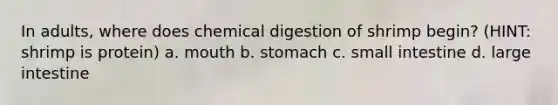 In adults, where does chemical digestion of shrimp begin? (HINT: shrimp is protein) a. mouth b. stomach c. small intestine d. large intestine