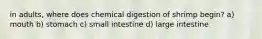 in adults, where does chemical digestion of shrimp begin? a) mouth b) stomach c) small intestine d) large intestine