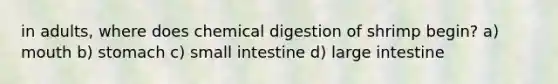 in adults, where does chemical digestion of shrimp begin? a) mouth b) stomach c) small intestine d) large intestine