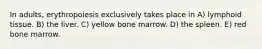 In adults, erythropoiesis exclusively takes place in A) lymphoid tissue. B) the liver. C) yellow bone marrow. D) the spleen. E) red bone marrow.
