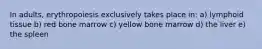 In adults, erythropoiesis exclusively takes place in: a) lymphoid tissue b) red bone marrow c) yellow bone marrow d) the liver e) the spleen