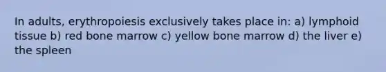 In adults, erythropoiesis exclusively takes place in: a) lymphoid tissue b) red bone marrow c) yellow bone marrow d) the liver e) the spleen