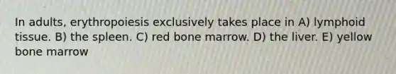 In adults, erythropoiesis exclusively takes place in A) lymphoid tissue. B) the spleen. C) red bone marrow. D) the liver. E) yellow bone marrow