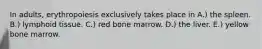 In adults, erythropoiesis exclusively takes place in A.) the spleen. B.) lymphoid tissue. C.) red bone marrow. D.) the liver. E.) yellow bone marrow.