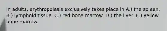 In adults, erythropoiesis exclusively takes place in A.) the spleen. B.) lymphoid tissue. C.) red bone marrow. D.) the liver. E.) yellow bone marrow.