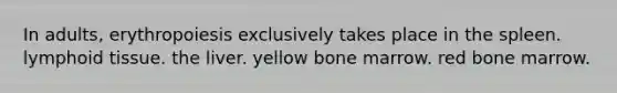 In adults, erythropoiesis exclusively takes place in the spleen. lymphoid tissue. the liver. yellow bone marrow. red bone marrow.