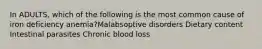 In ADULTS, which of the following is the most common cause of iron deficiency anemia?Malabsoptive disorders Dietary content Intestinal parasites Chronic blood loss