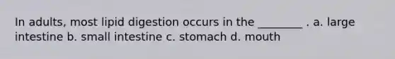 In adults, most lipid digestion occurs in the ________ . a. large intestine b. small intestine c. stomach d. mouth