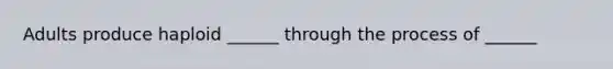 Adults produce haploid ______ through the process of ______