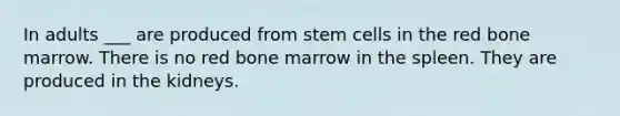 In adults ___ are produced from stem cells in the red bone marrow. There is no red bone marrow in the spleen. They are produced in the kidneys.