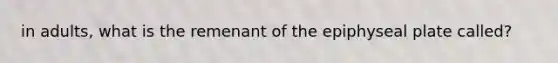 in adults, what is the remenant of the epiphyseal plate called?