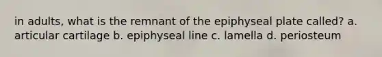 in adults, what is the remnant of the epiphyseal plate called? a. articular cartilage b. epiphyseal line c. lamella d. periosteum