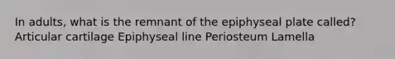 In adults, what is the remnant of the epiphyseal plate called? Articular cartilage Epiphyseal line Periosteum Lamella