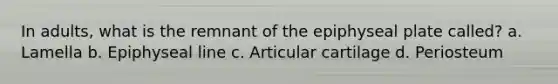 In adults, what is the remnant of the epiphyseal plate called? a. Lamella b. Epiphyseal line c. Articular cartilage d. Periosteum