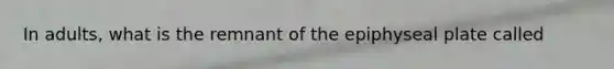 In adults, what is the remnant of the epiphyseal plate called