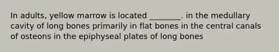 In adults, yellow marrow is located ________. in the medullary cavity of long bones primarily in flat bones in the central canals of osteons in the epiphyseal plates of long bones