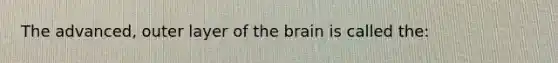 The advanced, outer layer of the brain is called the: