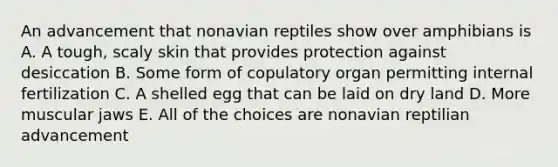 An advancement that nonavian reptiles show over amphibians is A. A tough, scaly skin that provides protection against desiccation B. Some form of copulatory organ permitting internal fertilization C. A shelled egg that can be laid on dry land D. More muscular jaws E. All of the choices are nonavian reptilian advancement