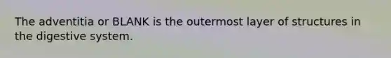 The adventitia or BLANK is the outermost layer of structures in the digestive system.