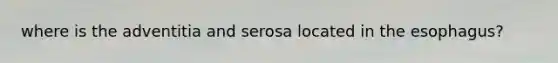 where is the adventitia and serosa located in the esophagus?