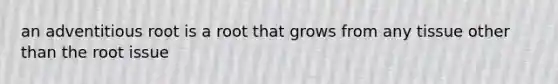 an adventitious root is a root that grows from any tissue other than the root issue