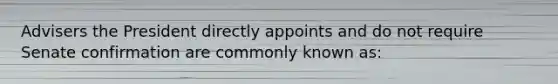 Advisers the President directly appoints and do not require Senate confirmation are commonly known as: