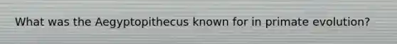 What was the Aegyptopithecus known for in primate evolution?