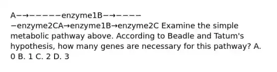 A−→−−−−−enzyme1B−→−−−−−enzyme2CA→enzyme1B→enzyme2C Examine the simple metabolic pathway above. According to Beadle and Tatum's hypothesis, how many genes are necessary for this pathway? A. 0 B. 1 C. 2 D. 3