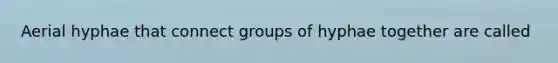 Aerial hyphae that connect groups of hyphae together are called