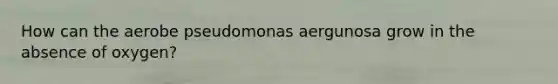 How can the aerobe pseudomonas aergunosa grow in the absence of oxygen?