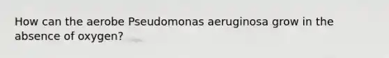 How can the aerobe Pseudomonas aeruginosa grow in the absence of oxygen?