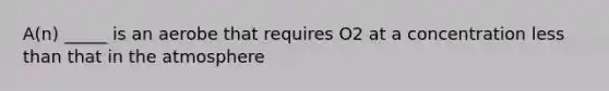 A(n) _____ is an aerobe that requires O2 at a concentration <a href='https://www.questionai.com/knowledge/k7BtlYpAMX-less-than' class='anchor-knowledge'>less than</a> that in the atmosphere