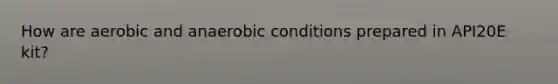 How are aerobic and anaerobic conditions prepared in API20E kit?