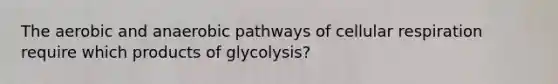 The aerobic and anaerobic pathways of cellular respiration require which products of glycolysis?