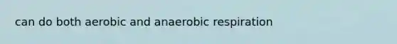 can do both aerobic and anaerobic respiration