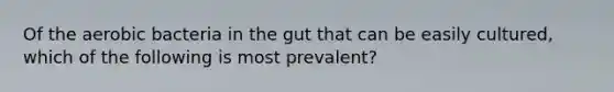 Of the aerobic bacteria in the gut that can be easily cultured, which of the following is most prevalent?