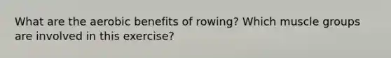 What are the aerobic benefits of rowing? Which muscle groups are involved in this exercise?