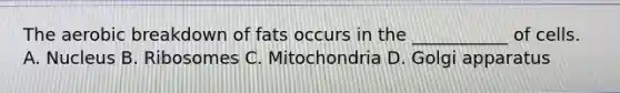 The aerobic breakdown of fats occurs in the ___________ of cells. A. Nucleus B. Ribosomes C. Mitochondria D. Golgi apparatus