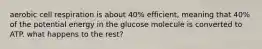 aerobic cell respiration is about 40% efficient, meaning that 40% of the potential energy in the glucose molecule is converted to ATP. what happens to the rest?