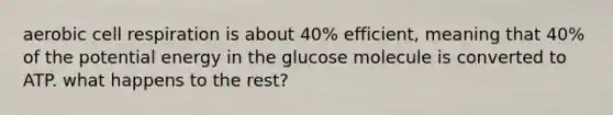 aerobic cell respiration is about 40% efficient, meaning that 40% of the potential energy in the glucose molecule is converted to ATP. what happens to the rest?