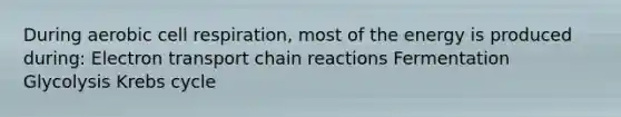 During aerobic cell respiration, most of the energy is produced during: Electron transport chain reactions Fermentation Glycolysis Krebs cycle